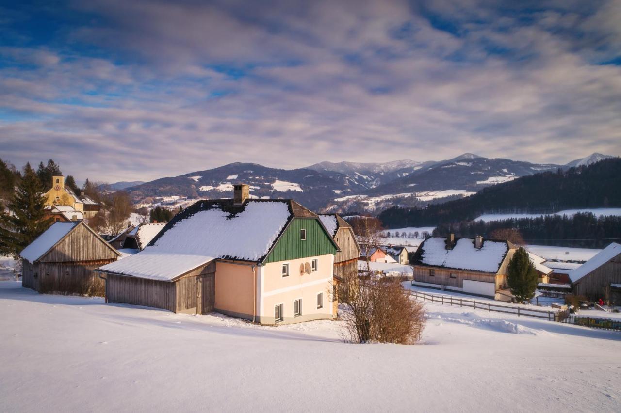 Ferienhaus Schwoellerbauer Sankt Martin am Grimming Екстериор снимка